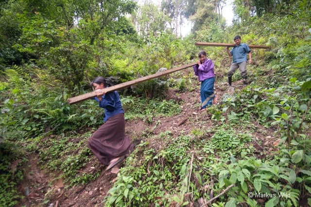 People-Centred Forest Management